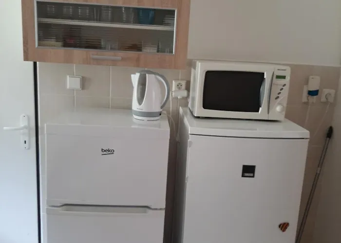 Levne Filomena Rum i privatbostad Horni Radechova